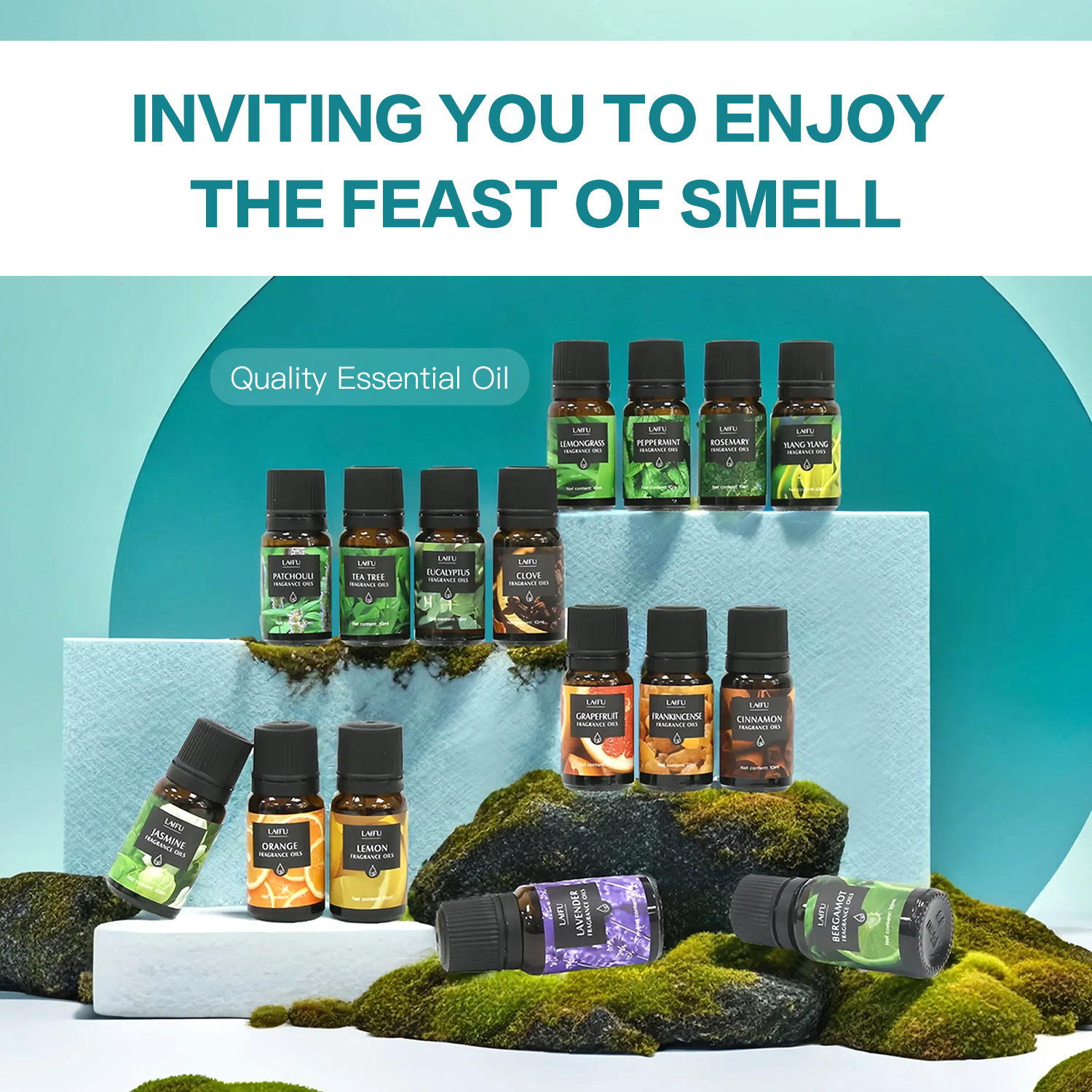 16x10ml Essential Oils Set for - مراجعة Candle Making Fragrances وسعره
