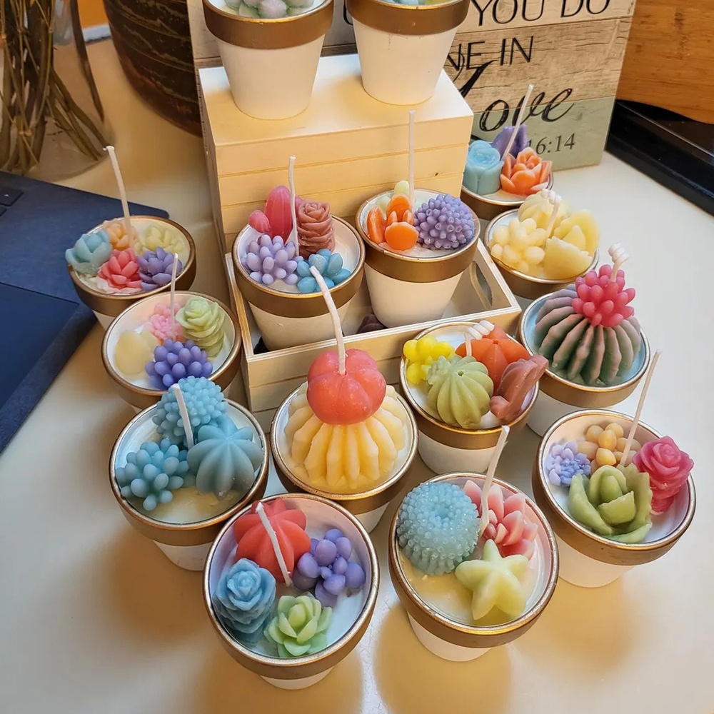 6pcs Succulent Silicone Candle - مراجعة Candle Making Video وسعره